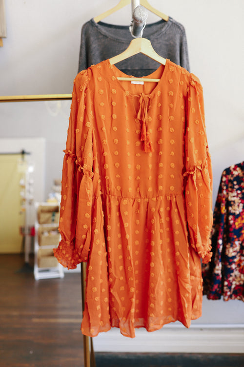 Mallory Curvy Swiss Dot Dress